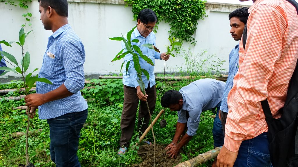 Tree Plantation Tree Plantation